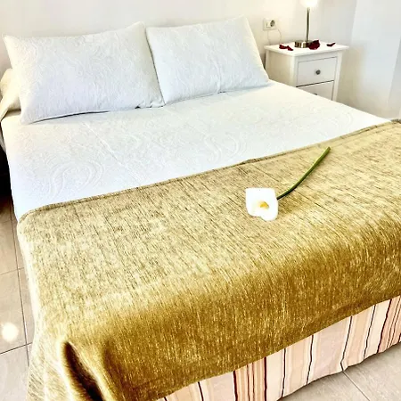 Apartamento Chc - Topetes Buenavista Del Norte